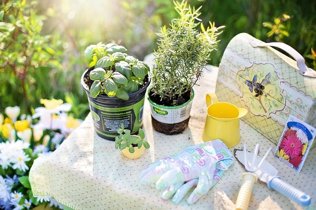 How to Make Your Own Indoor Herb Garden Plants