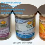 Join Me for a Twitter Party 9/29/17 at Noon EST!