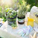 How to Make Your Own Indoor Herb Garden