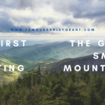 My First Time Visiting the Great Smoky Mountains